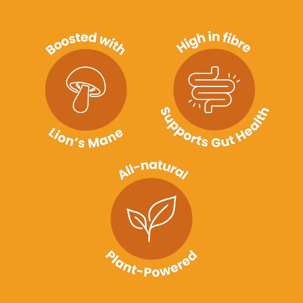 Orange background with health benefits text and icons for Lion's Mane, fiber, gut health, and plant power.