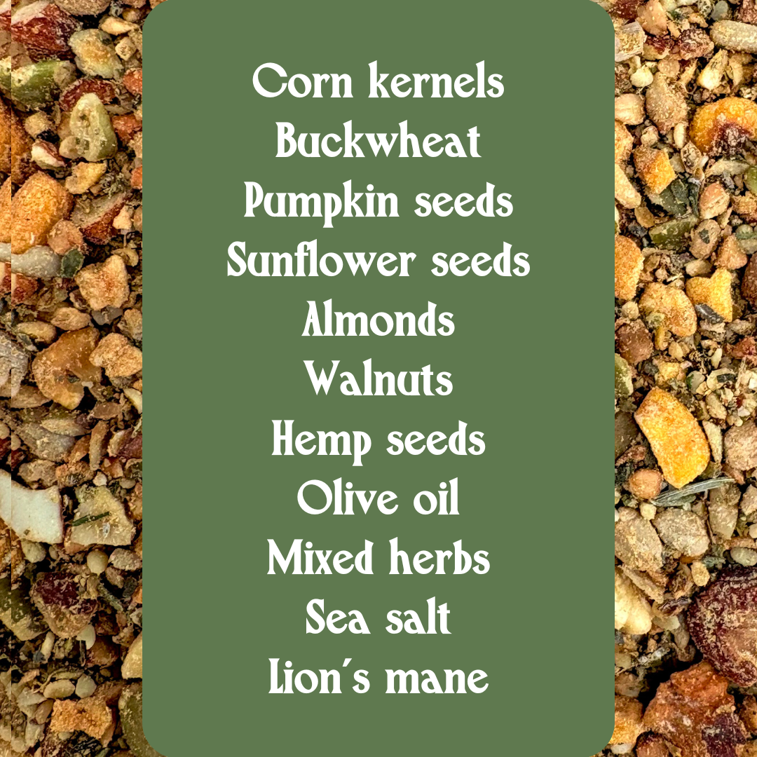 List of ingredients on a green card with a background of various seeds and nuts.